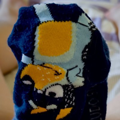 s_t_voyager's profile picture. 屁话连篇。
涩图好康。
脸熟欢迎。