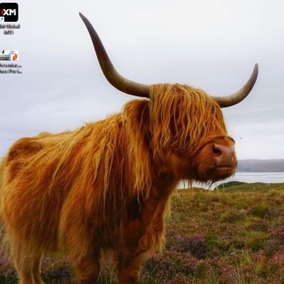 juantonal's profile picture. Economista.