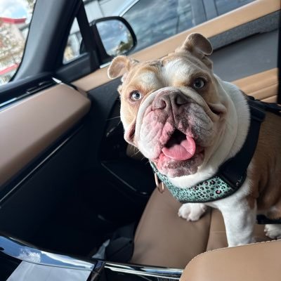 ThompsonAl66121's profile picture.