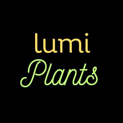 lumiplants's profile picture. Making the world a brighter place…