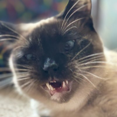 JakeFromSturgis's profile picture. 