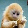 gonrrhea's profile picture. I’m a woman the same way a tomato is a fruit.