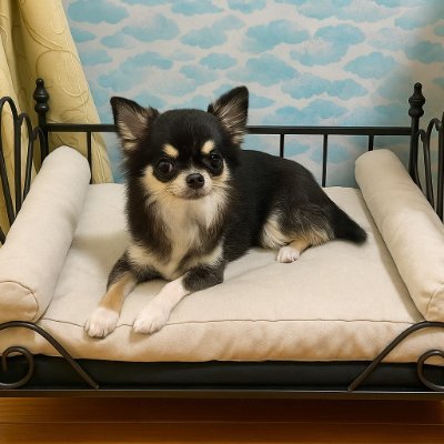 LIENHOME2025's profile picture. LIENHOME
ペット用、子供用家具など暮らしに寄り添う家具でやさしい時間をデザイン
ONLINE SHOP オープンしました。
   https://t.co/xgqoQr0YRS
LINE公式アカウント
https://t.co/y92Hcz35Ez
＃ペット家具＃子供用ソファー