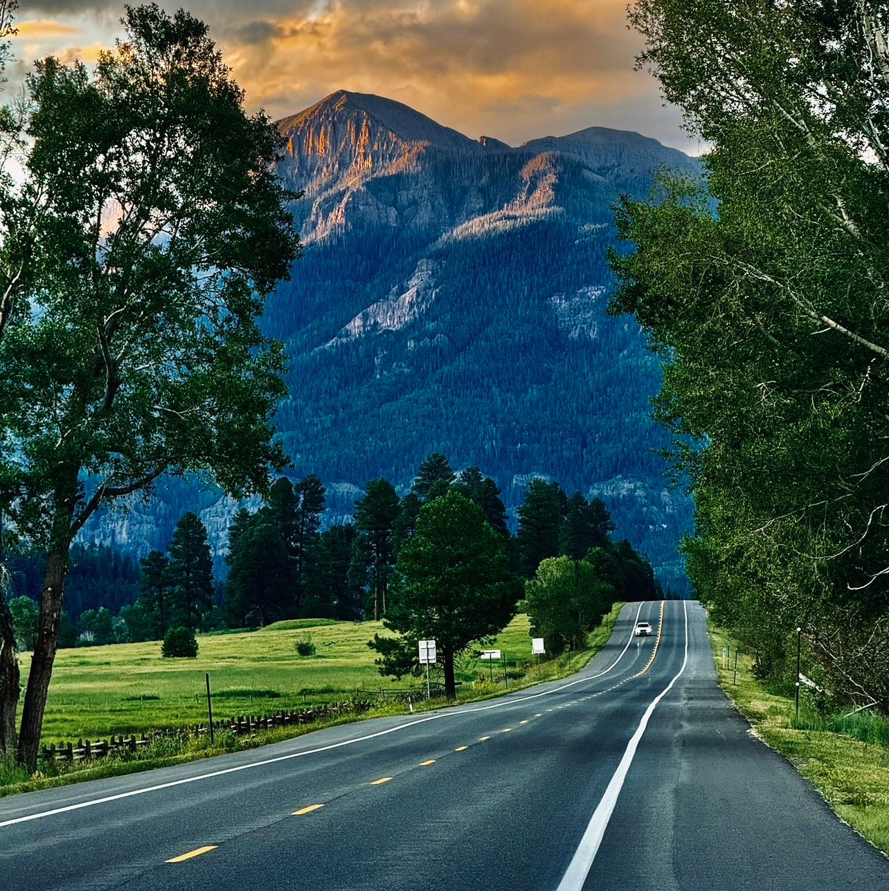 colosusan's profile picture. 