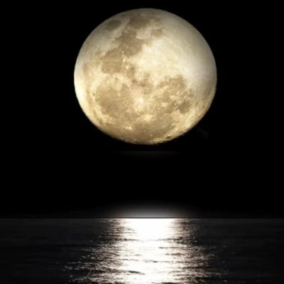 MehmetDuzg5l's profile picture. 
