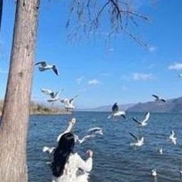 Cauersa0002's profile picture. 