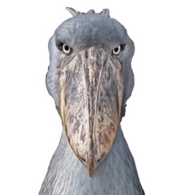 Rh0_mas's profile picture. 