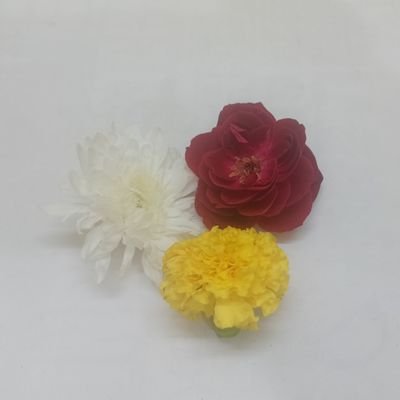 AmriteshAditya's profile picture. 🧘🏻‍♂️