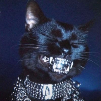 prodprincelolz's profile picture. @princelolz_ new account, follow me back