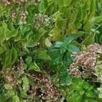 g39130863xx's profile picture. 