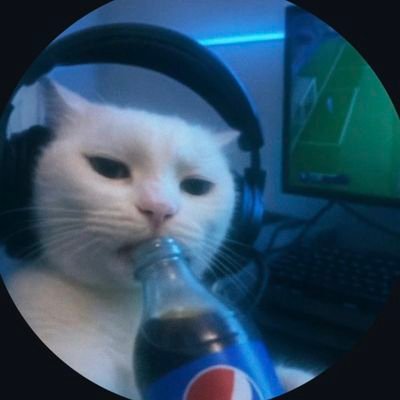 Polarcatdragon1's profile picture. 18 age🇹🇼/中文/English 🙌
Please do not take my paintings without permissio