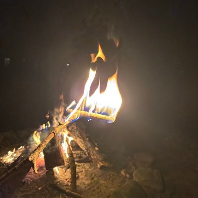 DakotaTeas11712's profile picture. 