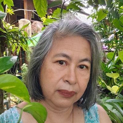 tidtima's profile picture. 
