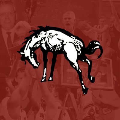 BronchosMBB's profile picture. 