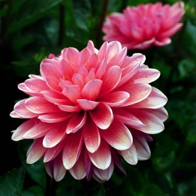 Smithjamie_1's profile picture. 