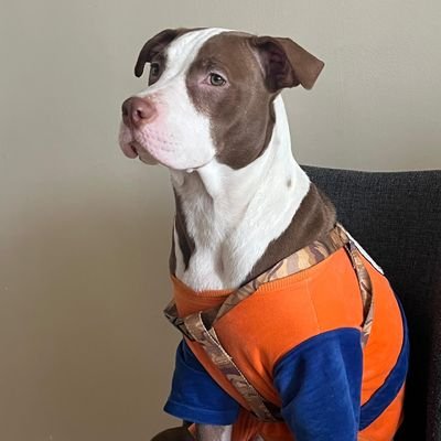PAOLABOHOR2001's profile picture. 