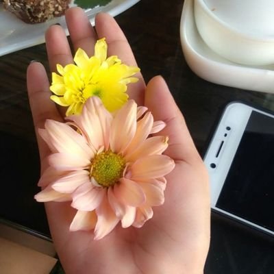 frissean41355's profile picture. 