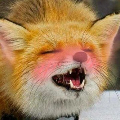 pawfulzeta's profile picture. she/her/fox | 🏳️‍⚧️ dumb silly ΘΔ fox in her 20s | ζooromantic ◤❖◢ | SFW dms only, please! | anti abuse | living life a day at a time