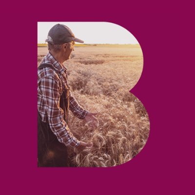 Agri_Insights's profile picture. The Agri Insights team are specialist agri commodity analysts. We provide strategy, analysis, data and a suite of online tools to empower decision making.