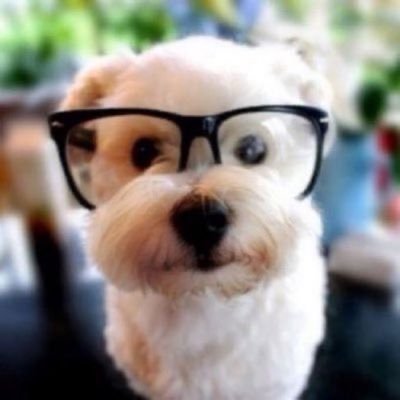 ProjectStrider's profile picture. abolish neutral site games @shakethefrost