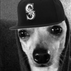phxsunz25's profile picture. 28 | full-time seattle sports fan | part-time arizona sports fan | watch women’s sports | sea ~ phx 🌈