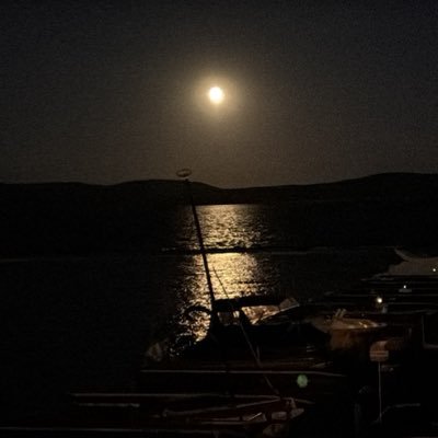 saywhencommie's profile picture. Married, America First, America always!  true MAGA, but will not follow blindly.  no rainbow, Palestine, or Ukrainian flags.  I don't have time for such drivel!