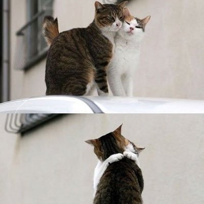 Schools180's profile picture. 