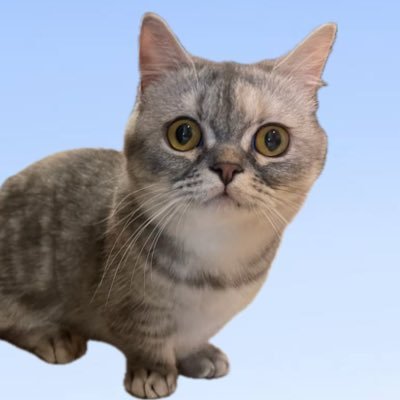 OdangO708's profile picture.