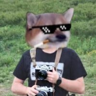 PhotoDavePutnam's profile picture. Semi retired photographer. 
Citizen of the Conch Republic 🐚
   🏴‍☠NAFO, AMPHIFA, and DEEP STATE OPERATIVE🐚
#FuckTrump no like really #FuckTrump