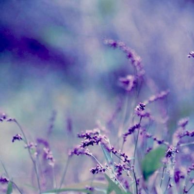 clausan27's profile picture. 