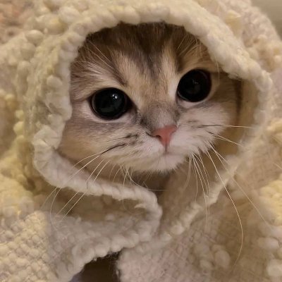 Pb127X's profile picture. Coffe