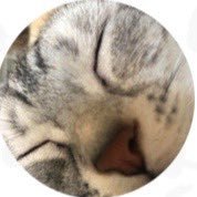 mwtt28's profile picture. よろしくお願いします