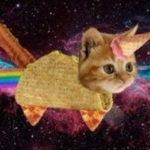 givemethatvajay's profile picture. jonah bias. kpopian and boyliifer (ot4).  🇲🇽🏳️‍🌈