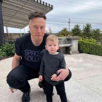 elonparodyyl's profile picture. 1K Following   .... 227M Followers