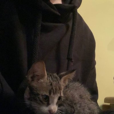 chainschyte's profile picture. fuck the cops // free bub