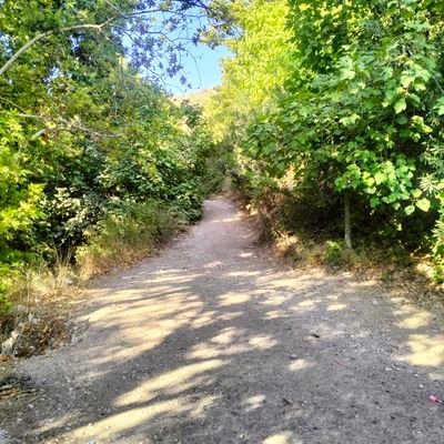 qysmr1094496's profile picture. 