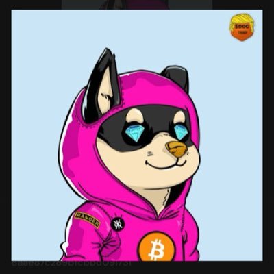 guimadelucca's profile picture. JESUS FOLLOWER , 🇭🇰 $DOG  ARMY ,🍕 PIZZA NINJA ARMY, 🐺 $LOBO ARMY , RUNES & ORDINALS, BITCOIN DeFi.