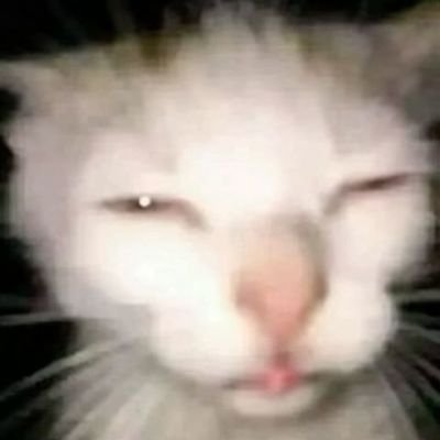 justsofi_0's profile picture. soy Ju  :)
mod de papitas rancias