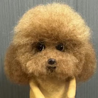 woahnelles's profile picture. hii