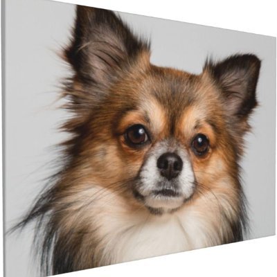 kabechihua's profile picture. 凍結したのでニューチワワ復活 ☕️🎸🎮/ VRC / 少年アバター良く使ってます /群発頭痛 / 映像やデザインなどなの