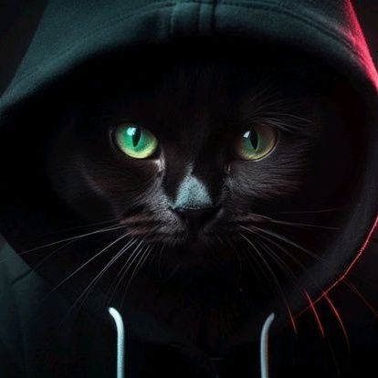 adn_99x's profile picture. 