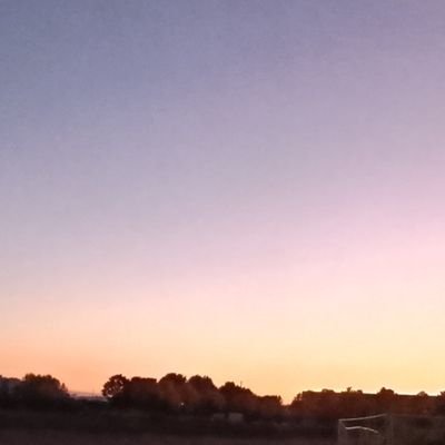 jennienismsx's profile picture. 