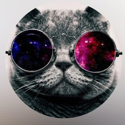 hi_meshh16's profile picture. 