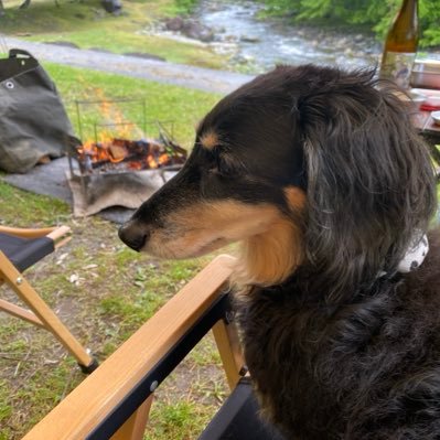 Ys77nobite's profile picture. 宮城県にある小さな町在住の電気屋⚡️主に施工管理やってます👷 好きな物は日本酒🍶真鯛釣り🎣キャンプ🏕️ダックスフント🥺ゴルフも🤏です。宜しくお願いします！