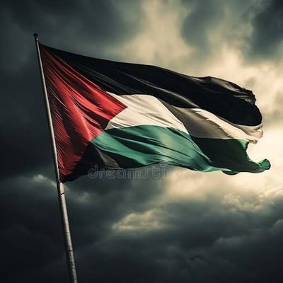 mdubaid9686's profile picture. 