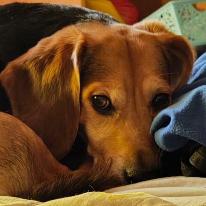 PauM070404's profile picture. 