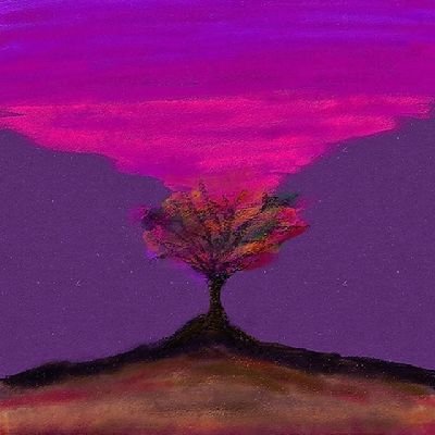 Chromosome_stan's profile picture. Stan Wang Zihao LE'V, NouerA LIN & FAN, ALD1 ARNO & ANXIN, R.E.D, and Seeds 🦄🍧🎡