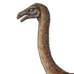 sharksscripting's profile picture. fuck my fat chungus life