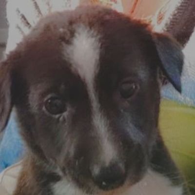 amogha_sharma's profile picture. Be ridiculous & Do epic shit!!