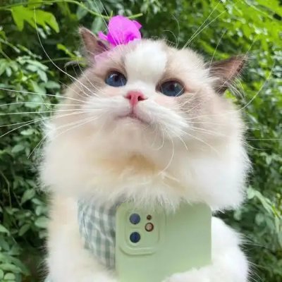 asmnfsahg's profile picture. 金融学部経営学修士卒業、hsbcデジタル通貨の元ceoです。

生活は弛緩して度があるので、絶え間なくの快楽があります~